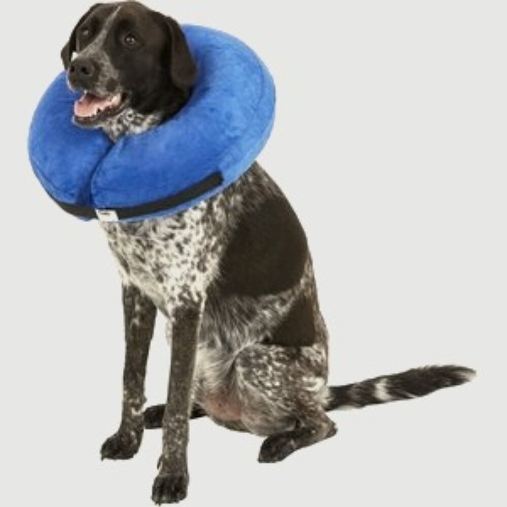 1pc Inflatable Animal Collar